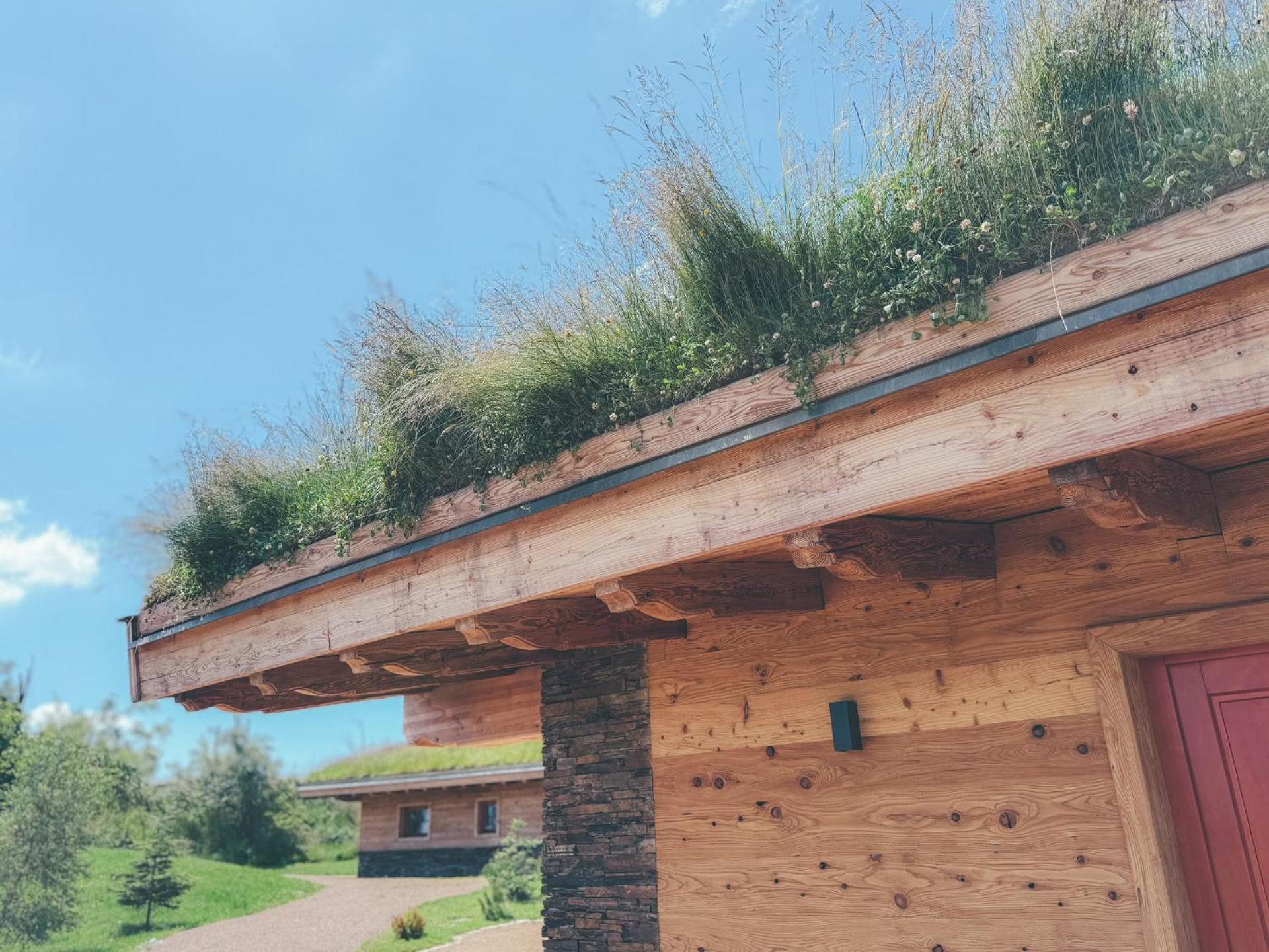 Chalets Resort Cínovec Kültér fotó