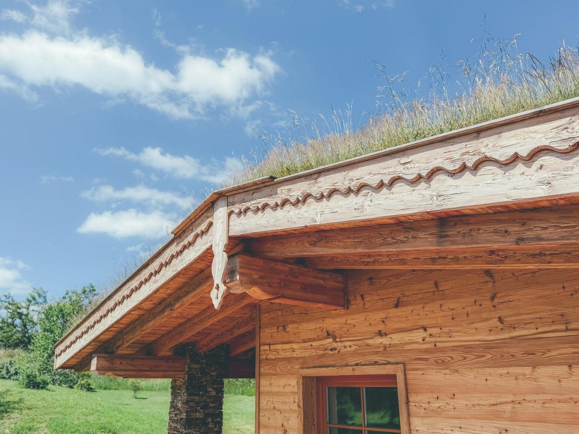 Chalets Resort Cínovec Kültér fotó